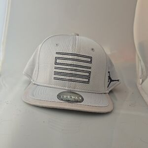 Jordan Cool Grey Light Gray Snapback Hat